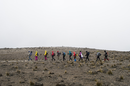 7 Days Rongai Route, Kilimanjaro Package