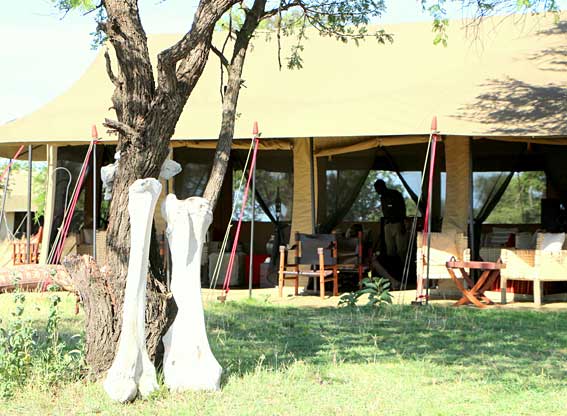 Lodges In Tanzania