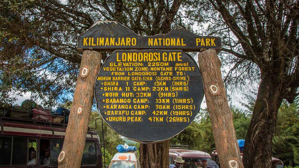 Lemosho Glades (2385m) to Big Tree Camp (2780m)