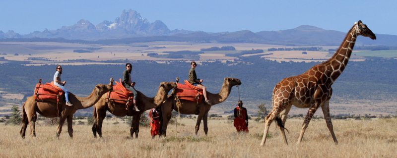 Camel Riding Safari with Maasai